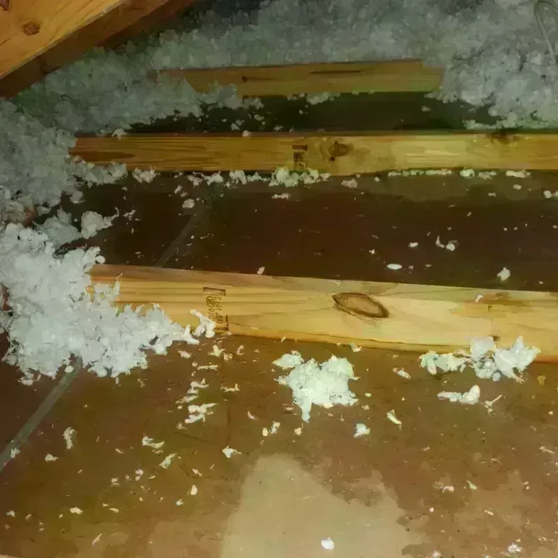 Attic Water Damage in Milbank, SD